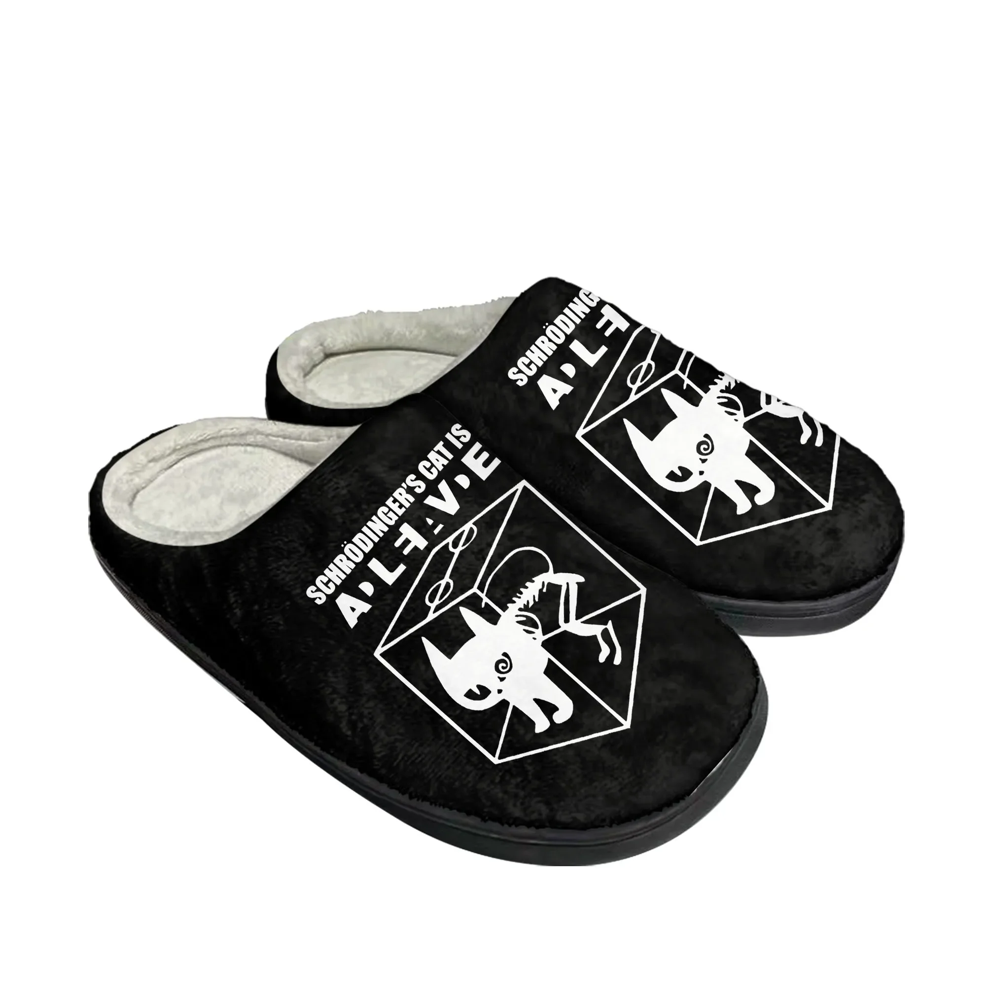 The Big TBBT Schrodinger's Cat - огляд і ціна Men Shoes Winter
